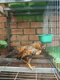 1000019541.webp