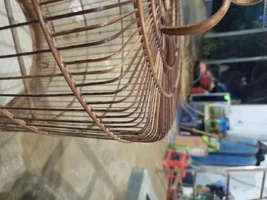 1000002306.webp