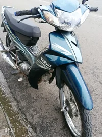 1000009563.webp