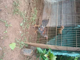 1000006547.webp