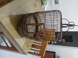 1000006548.webp