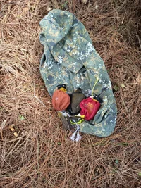 150.webp