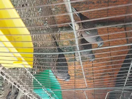 20260904_112716.webp