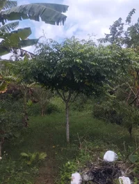 1000004478.webp