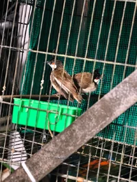 1000016000.webp