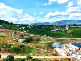 ĐẤT VEN ĐÀ LẠT – MỘT KHOẢNG KHÔNG VỪA ĐỦ ĐỂ XÂY NHÀ, LÀM VƯỜN VÀ SỐNG LÂU DÀI (1).webp