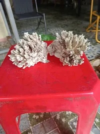 1000016191.webp