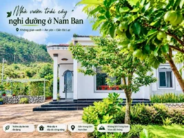 ĐẤT RỘNG, NHÀ SẴN, VƯỜN XANH VÀ ĐỒI THÔNG PHÍA SAU – MỘT KHÔNG GIAN ĐỦ RỘNG ĐỂ SỐNG THEO CÁCH...webp