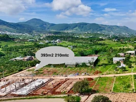 MẢNH ĐẤT VUÔNG VỨC 2 MẶT TIỀN – GIÁ TRỊ AN CƯ VÀ NGHỈ DƯỠNG VEN ĐÀ LẠT (1).webp