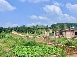 MẢNH ĐẤT VUÔNG VỨC 2 MẶT TIỀN – GIÁ TRỊ AN CƯ VÀ NGHỈ DƯỠNG VEN ĐÀ LẠT (3).webp