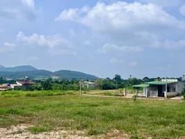  GIỮA ĐỒI NÚI ĐÔNG THANH – MỘT KHOẢNG ĐẤT ĐỂ Ở VÀ TÍCH LŨY (1).webp
