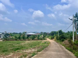  GIỮA ĐỒI NÚI ĐÔNG THANH – MỘT KHOẢNG ĐẤT ĐỂ Ở VÀ TÍCH LŨY (2).webp