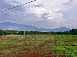 MỘT KHOẢNG ĐẤT ĐỦ RỘNG CHO CĂN NHÀ VÀ KHU VƯỜN NHỎ Ở ĐÔNG THANH (2).webp
