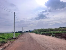 MỘT KHOẢNG ĐẤT ĐỦ RỘNG CHO CĂN NHÀ VÀ KHU VƯỜN NHỎ Ở ĐÔNG THANH (3).webp