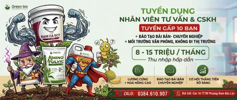 tuyển dụng 1.webp