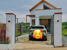 NHÀ PHỐ NGOẠI Ô ĐÀ LẠT – 222M² BAO QUANH ĐỒI THÔNG XANH MÁT (1).webp