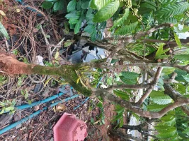 1000001046.webp