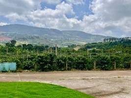Cần Bán Nhà Nam Ban 490m², 150m² Đất Ở, Nhà Kiên Cố Có 3 Phòng Ngủ (3).webp