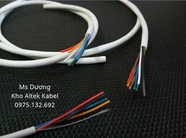 1790819577533_2951552050557825495_2951552050557825495_c253cc248ff1acfe054fa506c72f0e1e.webp