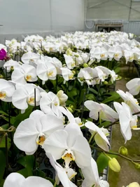 IMG_8506.webp