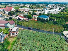 Bán đất Tân Hội 225m², cách DT724 25m, gần chợ và cao tốc (2).webp