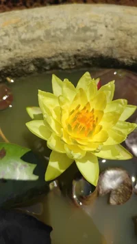 1000005069.webp