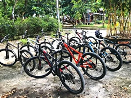 top-5-bicycle-rental-shops-in-hoi-an-07.webp