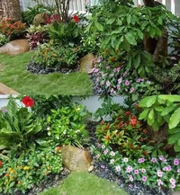 images (1).webp