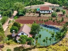 Đất Ven Đà Lạt View Nam Ban Thoáng Mát (1).webp