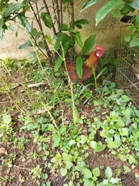IMG_20261014_110433.webp