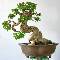images (3).webp