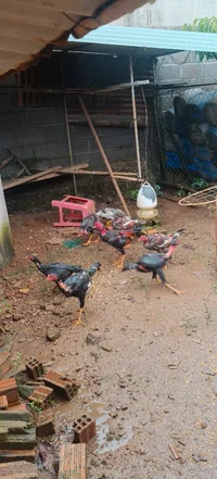 1000000777.webp