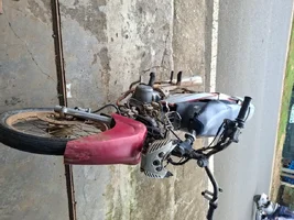 1000007380.webp