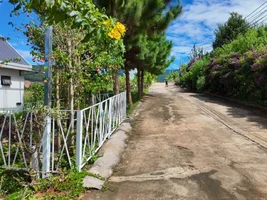 Cần Bán Đất 2 Mặt Tiền 236m² Trong Khu Nghỉ Dưỡng, Bao Quanh Bởi Thông Xanh (3).webp
