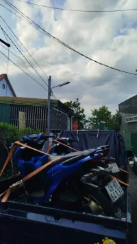1000008627.webp