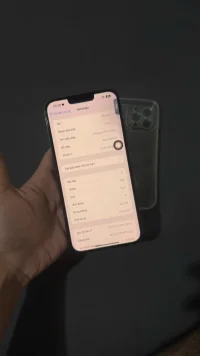 1791459071390_2304519612901040952_4110354955553895625_20010872651f05c91a62a28c26636085.webp