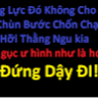 Hoàng Nguyên Honu ping