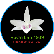 Vuonlan1989