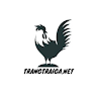 traigaop