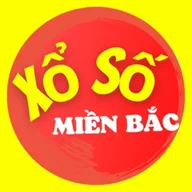 soicau247rongbachkim