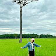 KimThư123