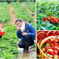 cty đức hoàng 49