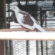 Hathaiminhvuminhvuong