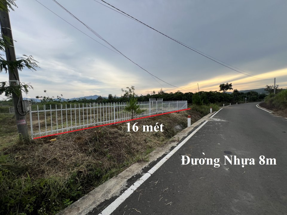 Đăng Lê Thị Riêng_2.jpg