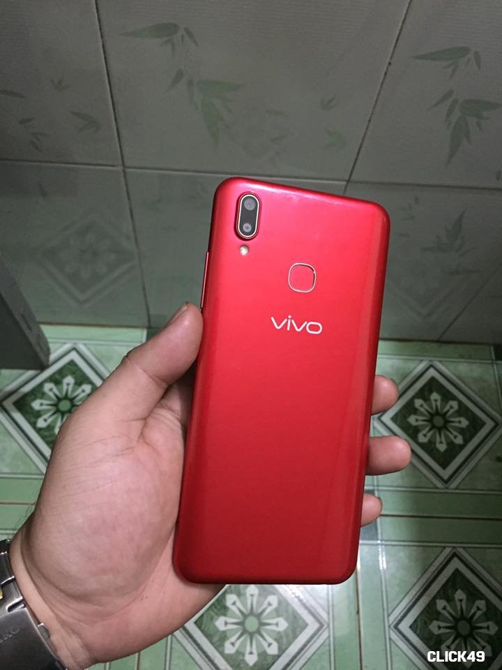 vivo 4.jpg