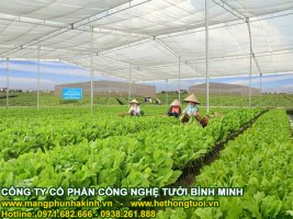 Lưới chắn côn trùng giá rẻ.jpg