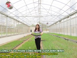 Luoi chan con trung Binh Minh - Copy.jpg