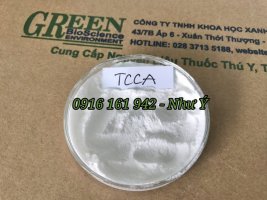 TCCA M.jpg