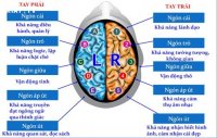 nao-va-van-tay-ohay-tv-13296.jpg