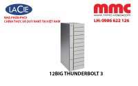 12big-Thunderbolt-3.jpg